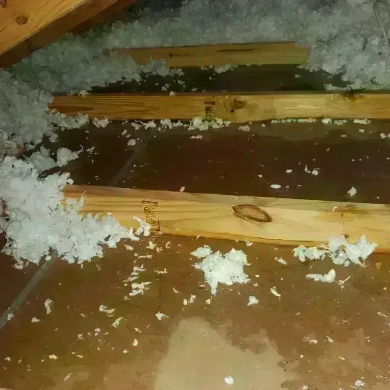 Attic Water Damage in Angleton, TX