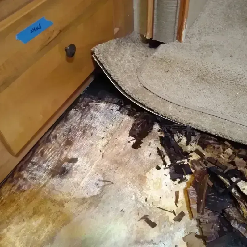 Wood Floor Water Damage in Angleton, TX